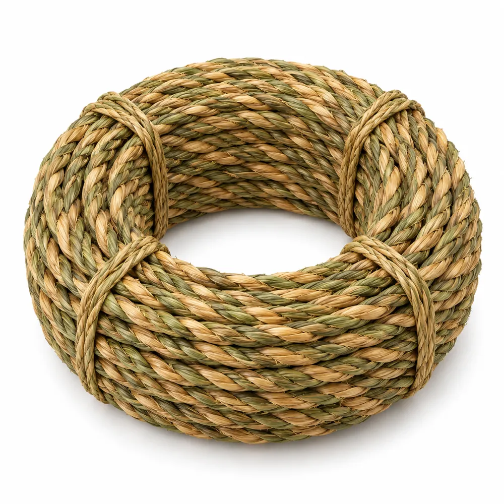 Neat coil of twisted natural seagrass cord in green-to-wheat tones on a white background